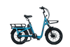 Trivel Combi CT Black electric bike