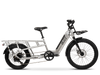 Buzz Beekeeper electric cargo ebike — step-through aluminum, 500W motor, front and rear rack